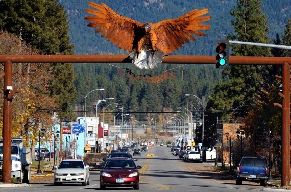Hecla-Environment-Land-Montana A bird by a stoplight.